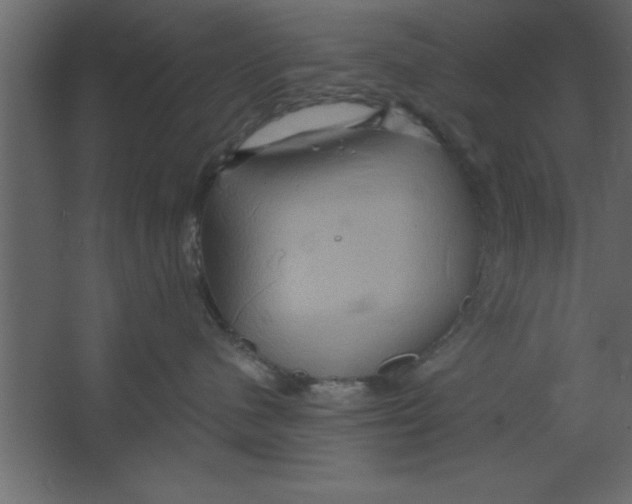 X0000067350480200604212006