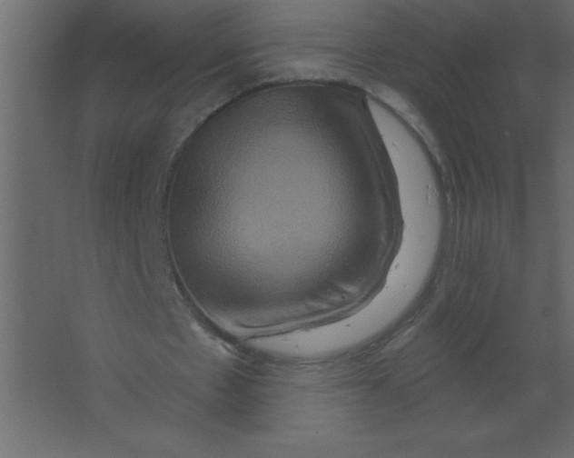 X0000067350481200604212005