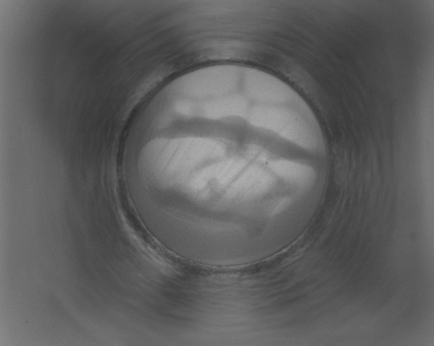 X0000067350482200604212005