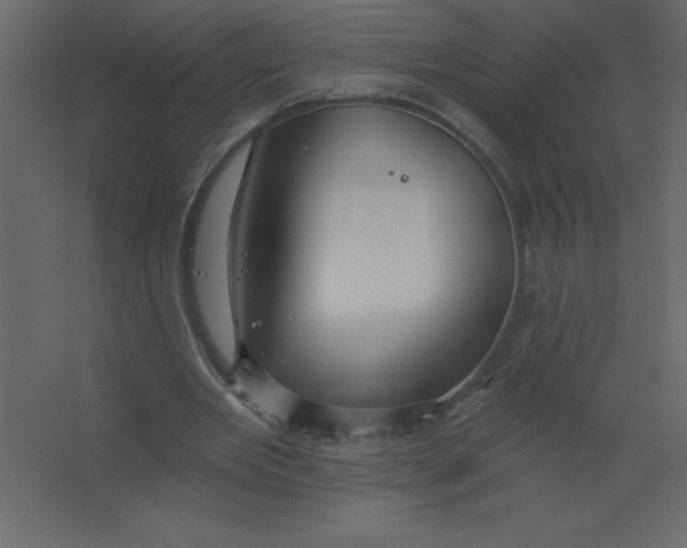 X0000067350485200604212005