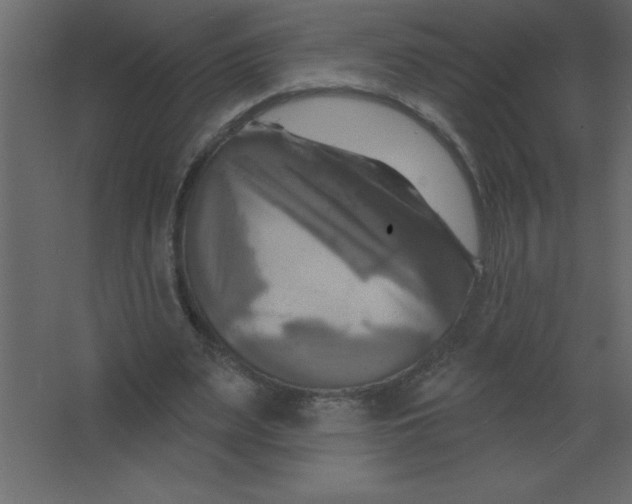 X0000067350487200604212005