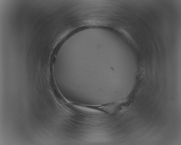 X0000067350488200604212005