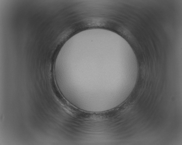 X0000067350490200604212005