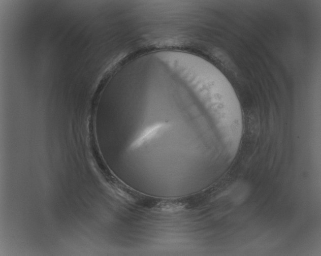 X0000067350491200604212005