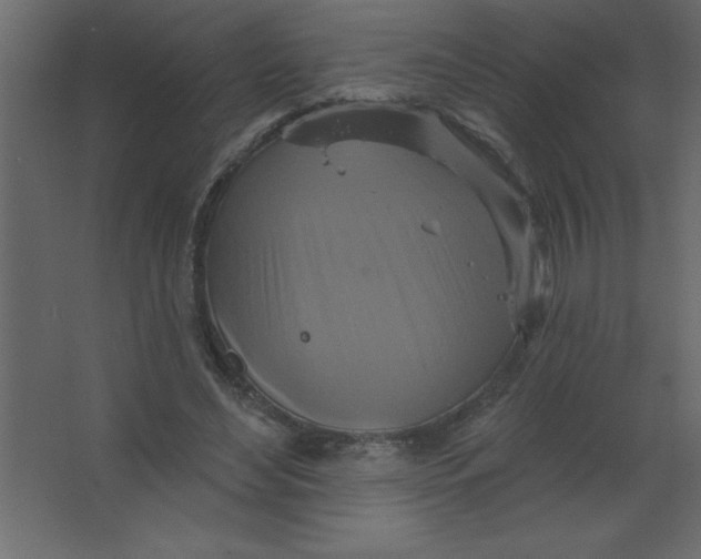 X0000067350492200604212005