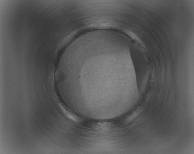 X0000067350493200604212005