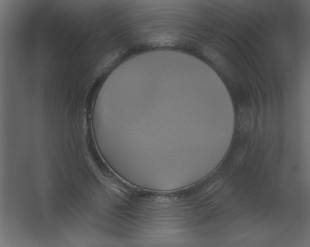 X0000067350494200604212005