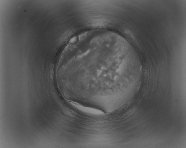 X0000067350495200604212005