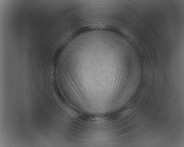 X0000067350498200604212005