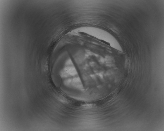 X0000067350499200604212005