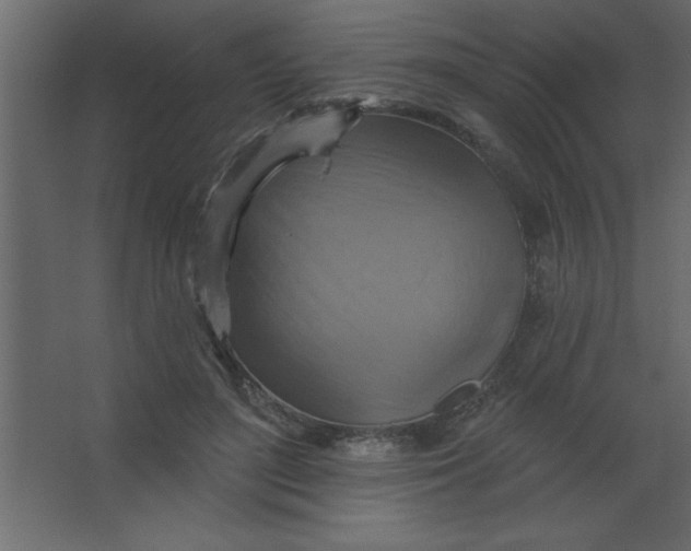 X0000067350500200604212005