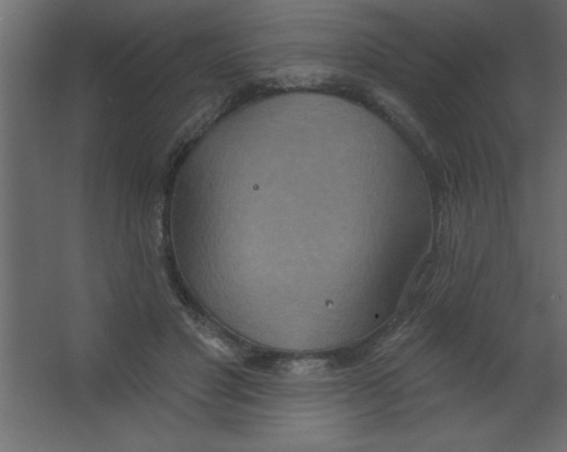 X0000067350501200604212005