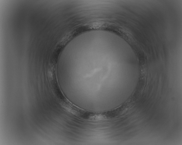 X0000067350503200604212005