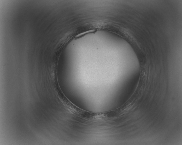 X0000067350505200604212005