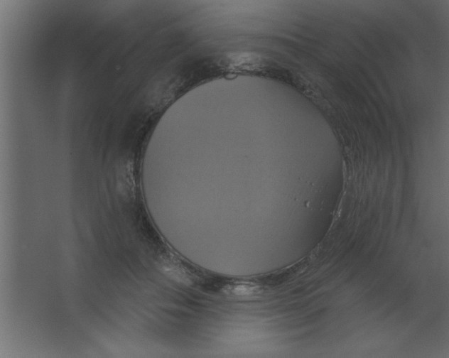 X0000067350506200604212005