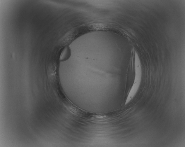 X0000067350507200604212005