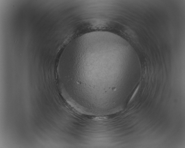 X0000067350508200604212005