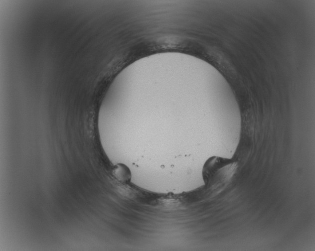 X0000067350509200604212005