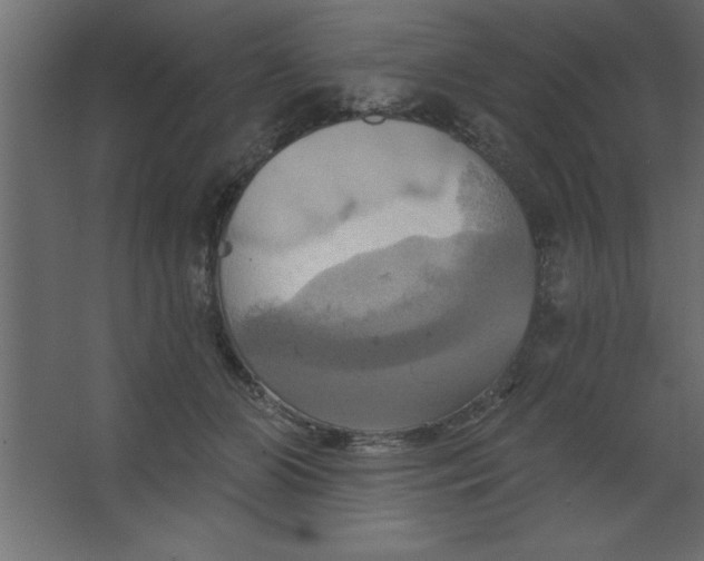 X0000067350510200604212005