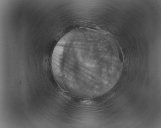 X0000067350511200604212005