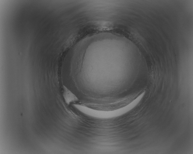 X0000067350512200604212005