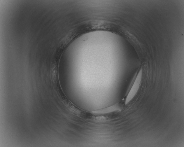 X0000067350513200604212005