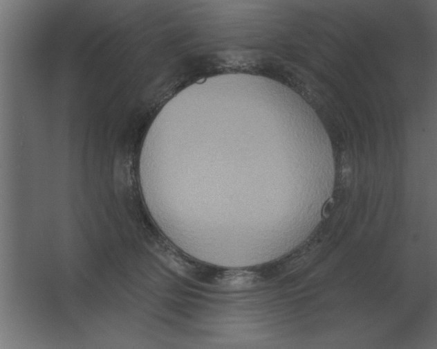 X0000067350514200604212005