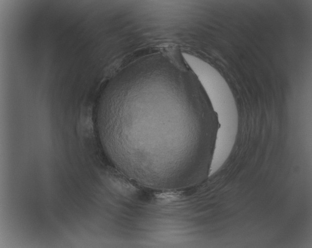 X0000067350516200604212005