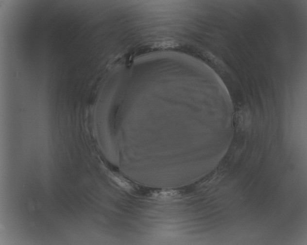 X0000067350517200604212005