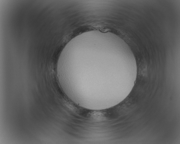 X0000067350518200604212005