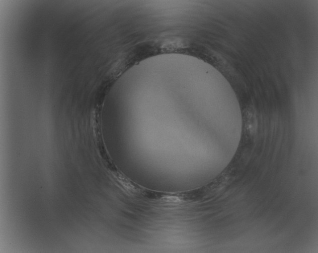 X0000067350519200604212005