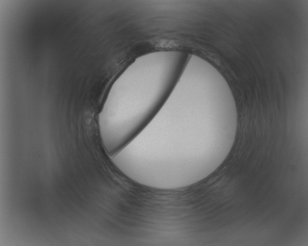 X0000067350521200604212005