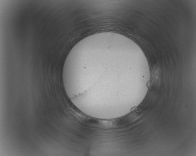 X0000067350522200604212005