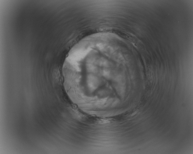 X0000067350523200604212005