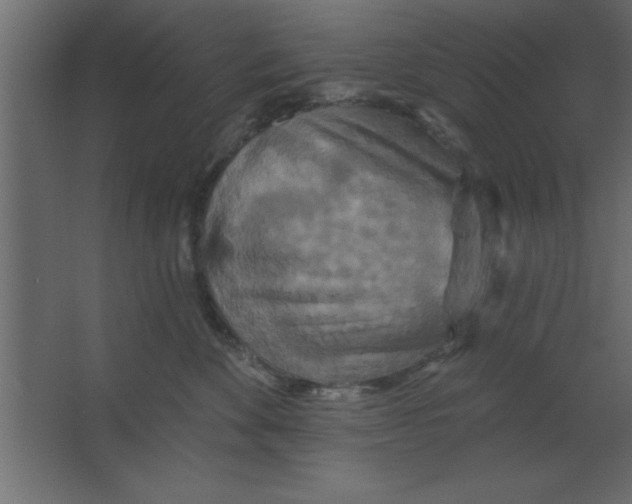 X0000067350524200604212005