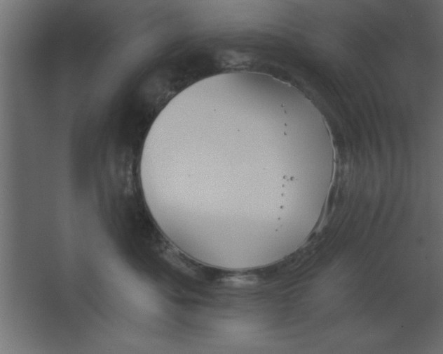 X0000067350525200604212005