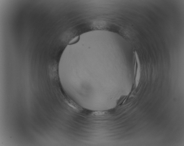 X0000067350526200604212005