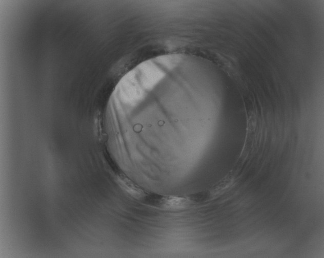 X0000067350527200604212005