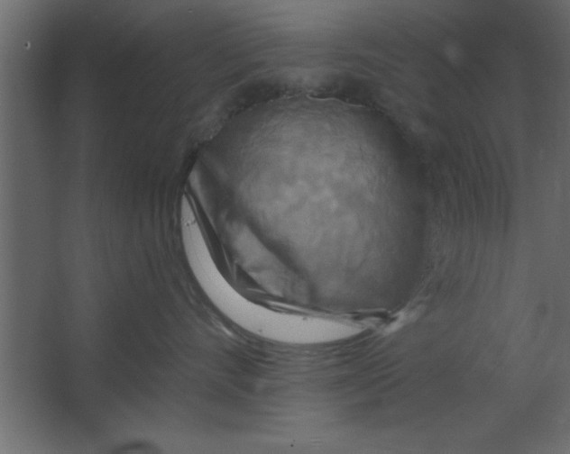 X0000067350528200604212005