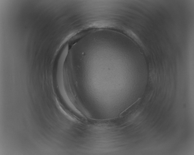 X0000067350530200604212004