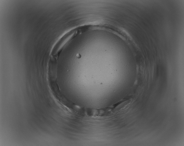 X0000067350532200604212004