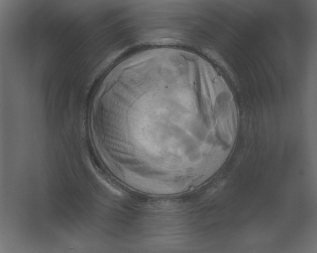 X0000067350533200604212004