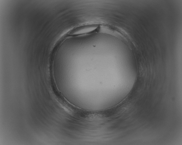 X0000067350535200604212004