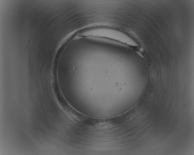 X0000067350536200604212004