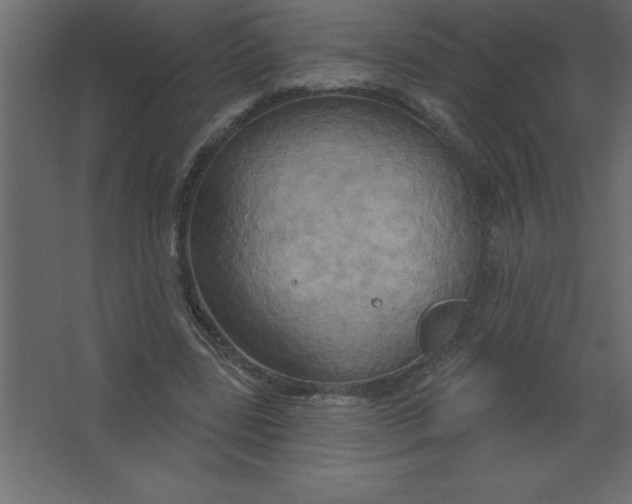 X0000067350539200604212004