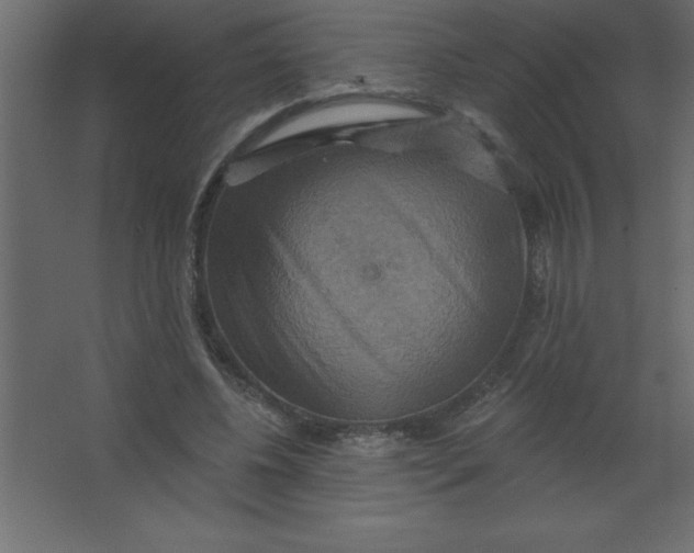 X0000067350540200604212004