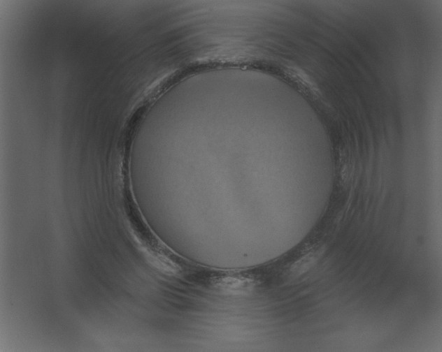 X0000067350542200604212004