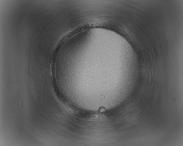 X0000067350543200604212004