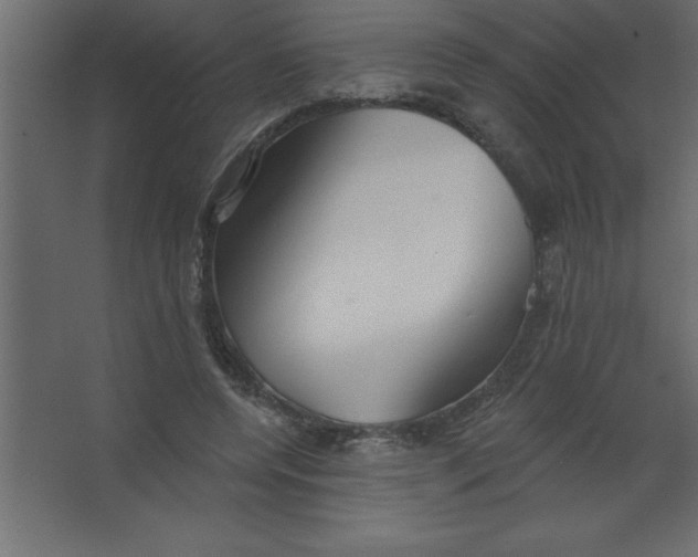 X0000067350544200604212004