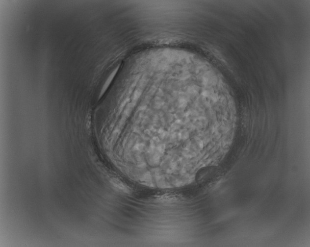 X0000067350545200604212004